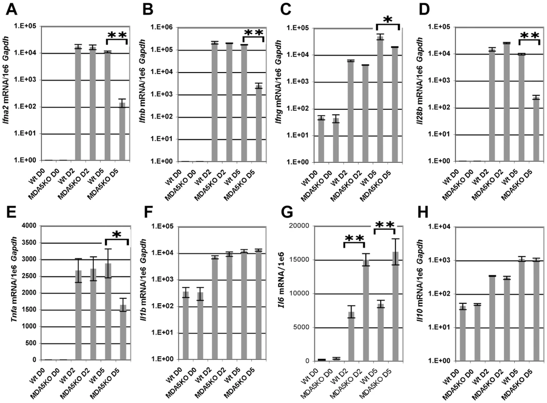 MDA5 is required for sustained expression of cytokines in response to SeV infection.