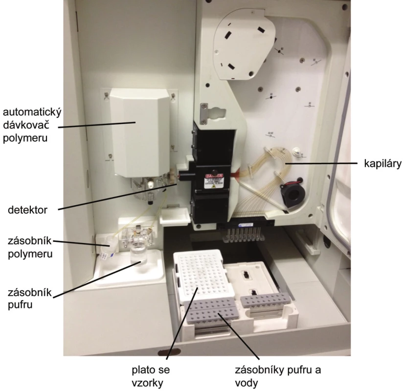 Automatický sekvenátor ABI3130xl (Applied Biosystems) – popis základních funkčních částí přístroje.