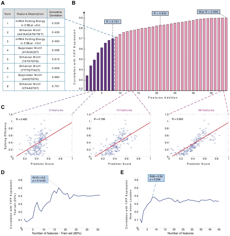Modeling intron features uncovers design principles and allows the prediction of gene expression in a synthetic system.