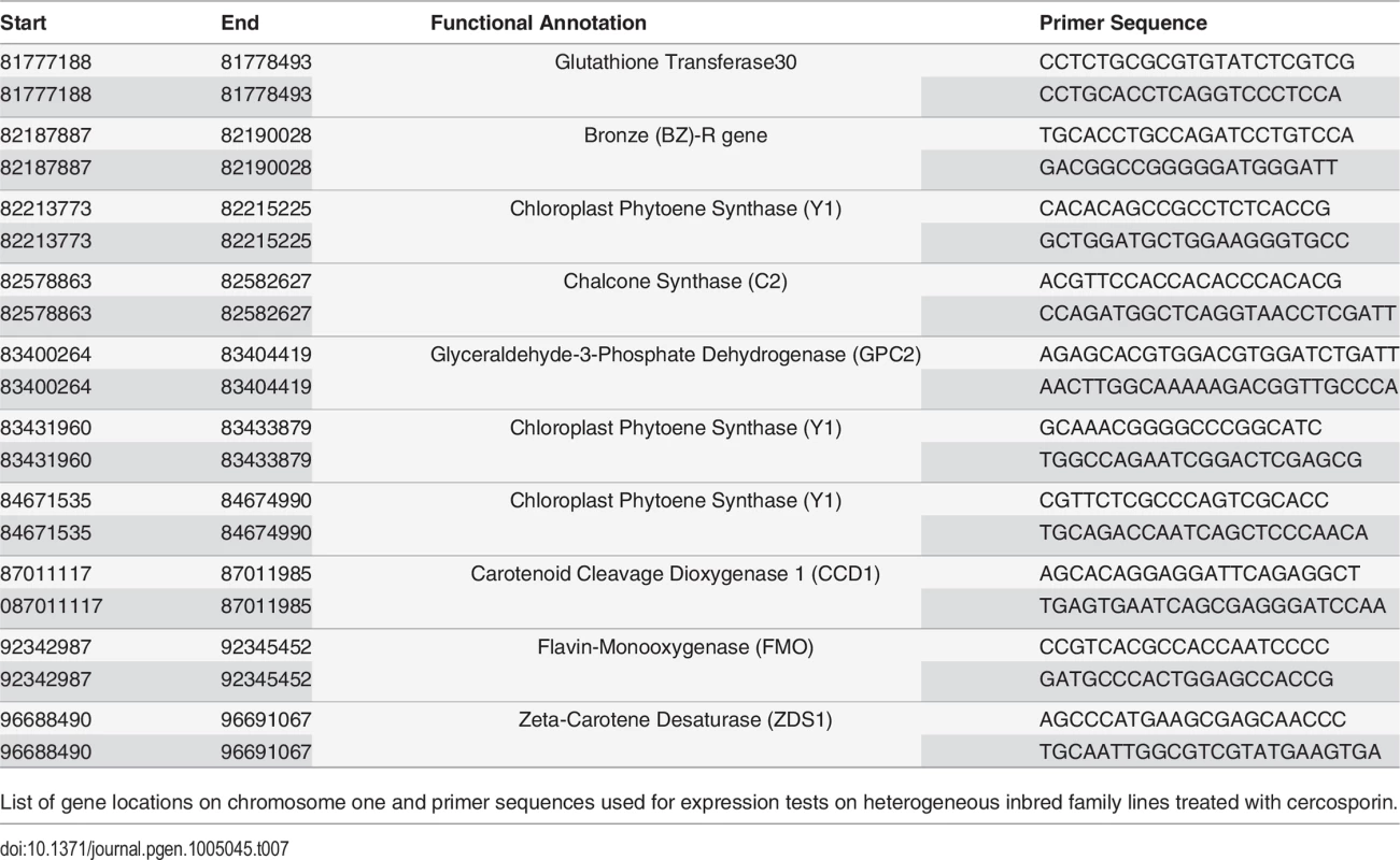 Primer sequences used for qGLS1.04<sub>CML228</sub> expression tests.