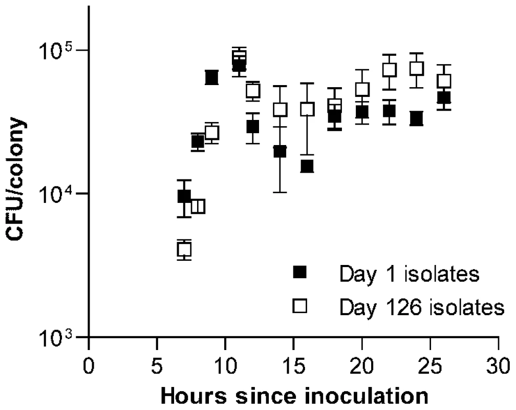 Time series examination of the development of <i>S. pneumoniae</i> colonies.