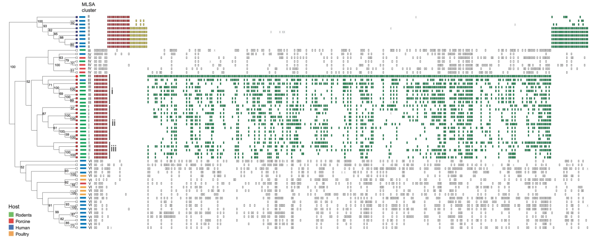 Analysis of genome content by reference microarray.