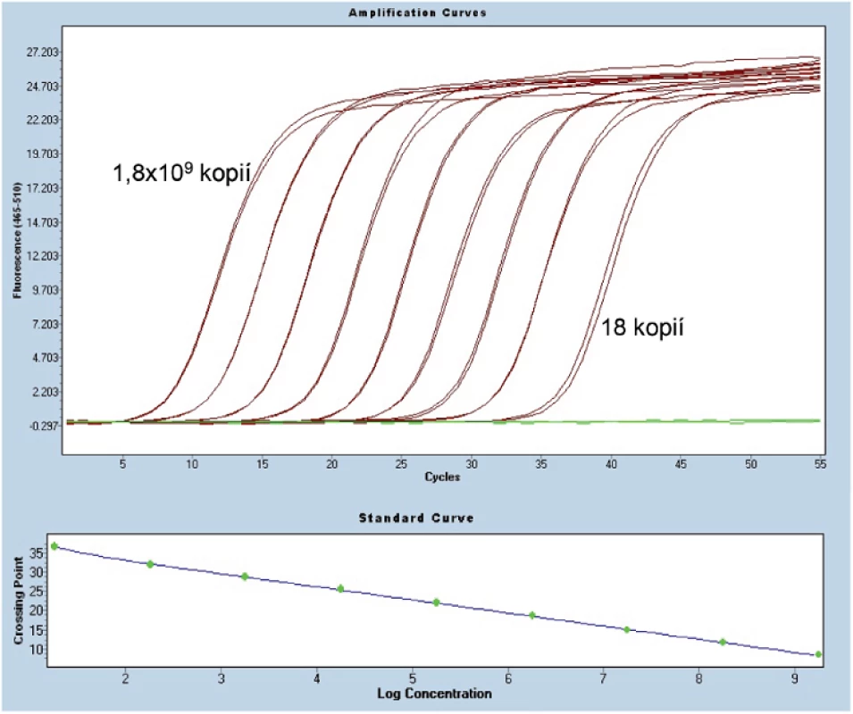 Amplifikace plazmidové standardní kalibrační křivky z přístroje LightCycler 480. <em>Horní graf:</em> Osa x udává počet cyklů PCR, osa y hladinu fluorescence. <em>Dolní graf:</em> Osa x udává log koncentraci plazmidu a osa y počet cyklů PCR.