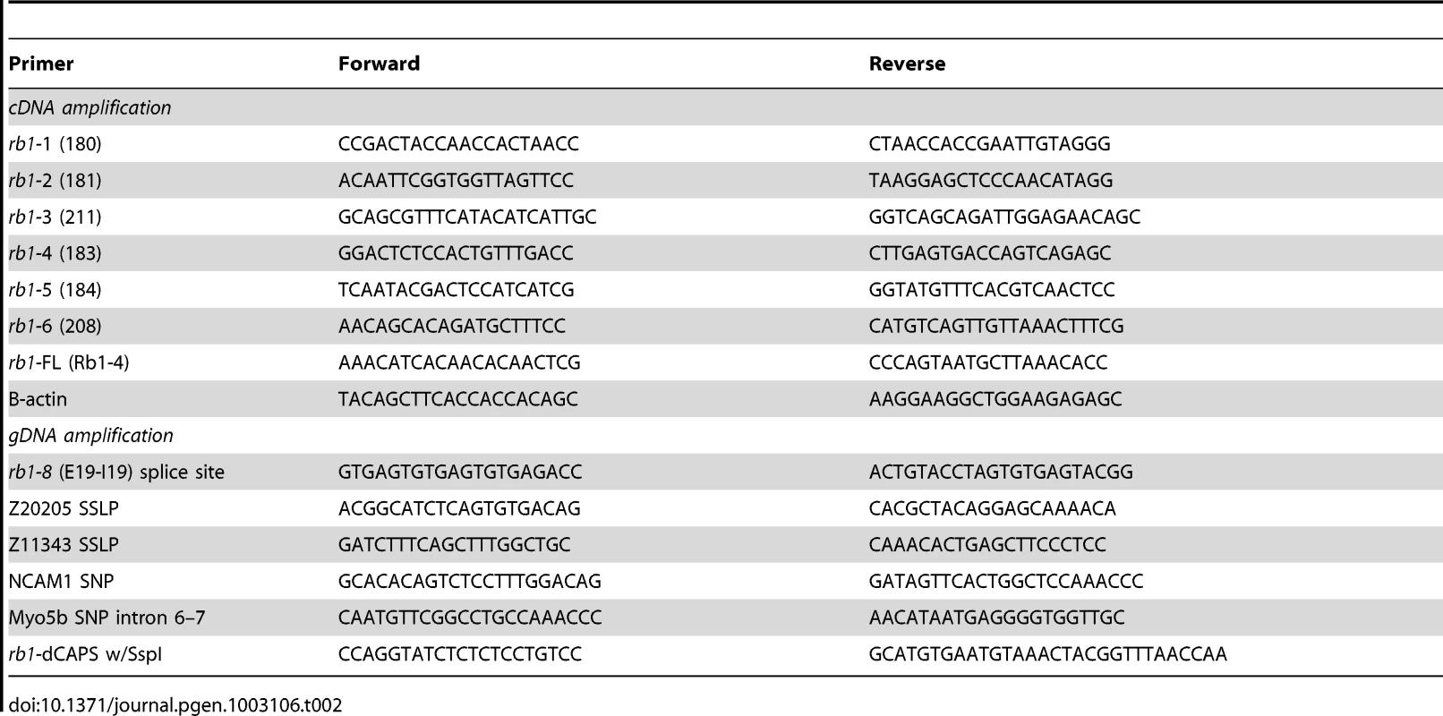 PCR primers for recombination mapping, molecular cloning, and genotyping of <i>rb1<sup>te226a</sup></i>.