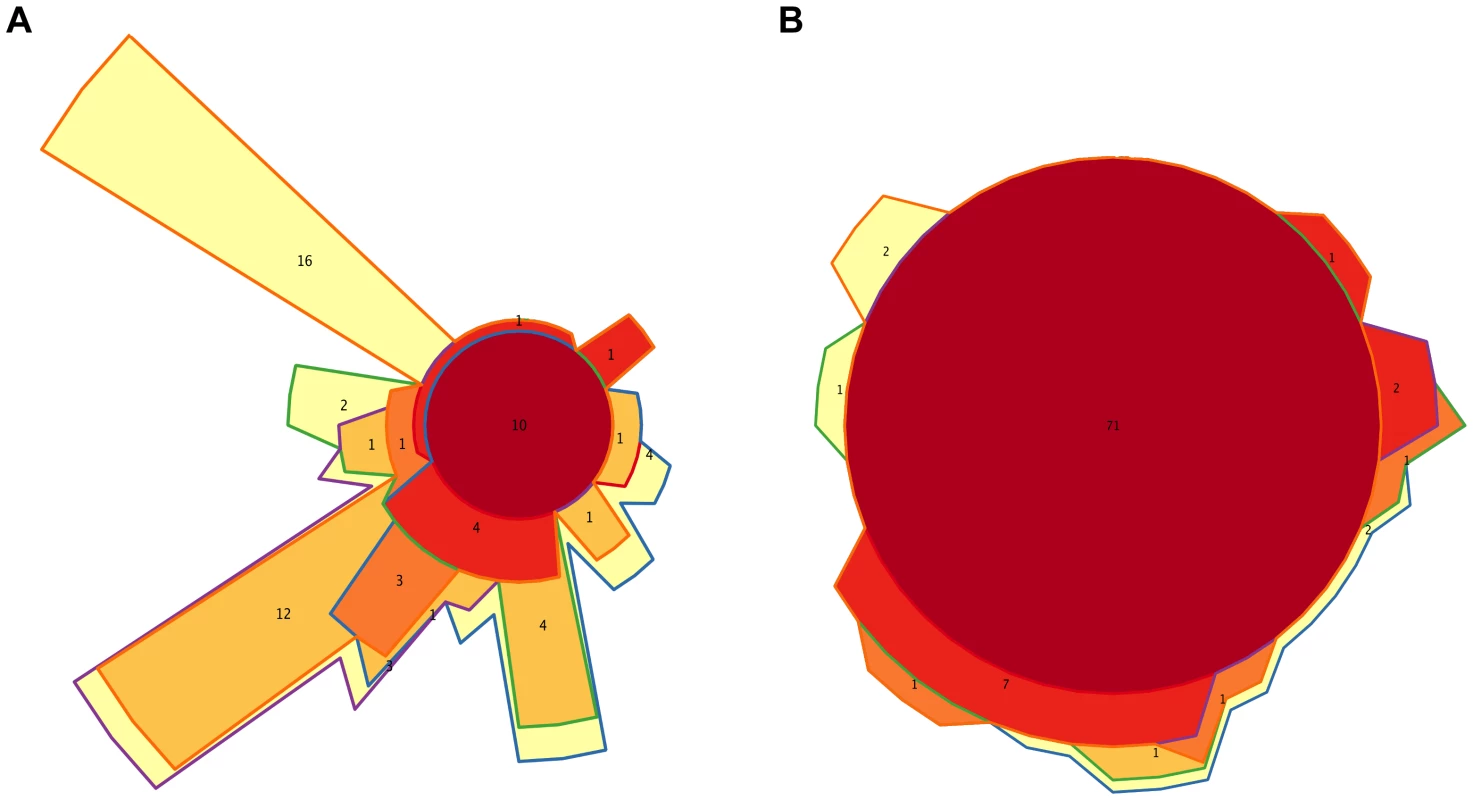 Timecore Venn diagrams.