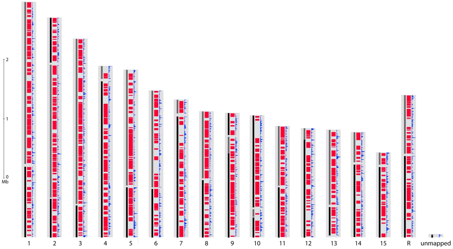Genome organization of <i>S. sclerotiorum</i>.