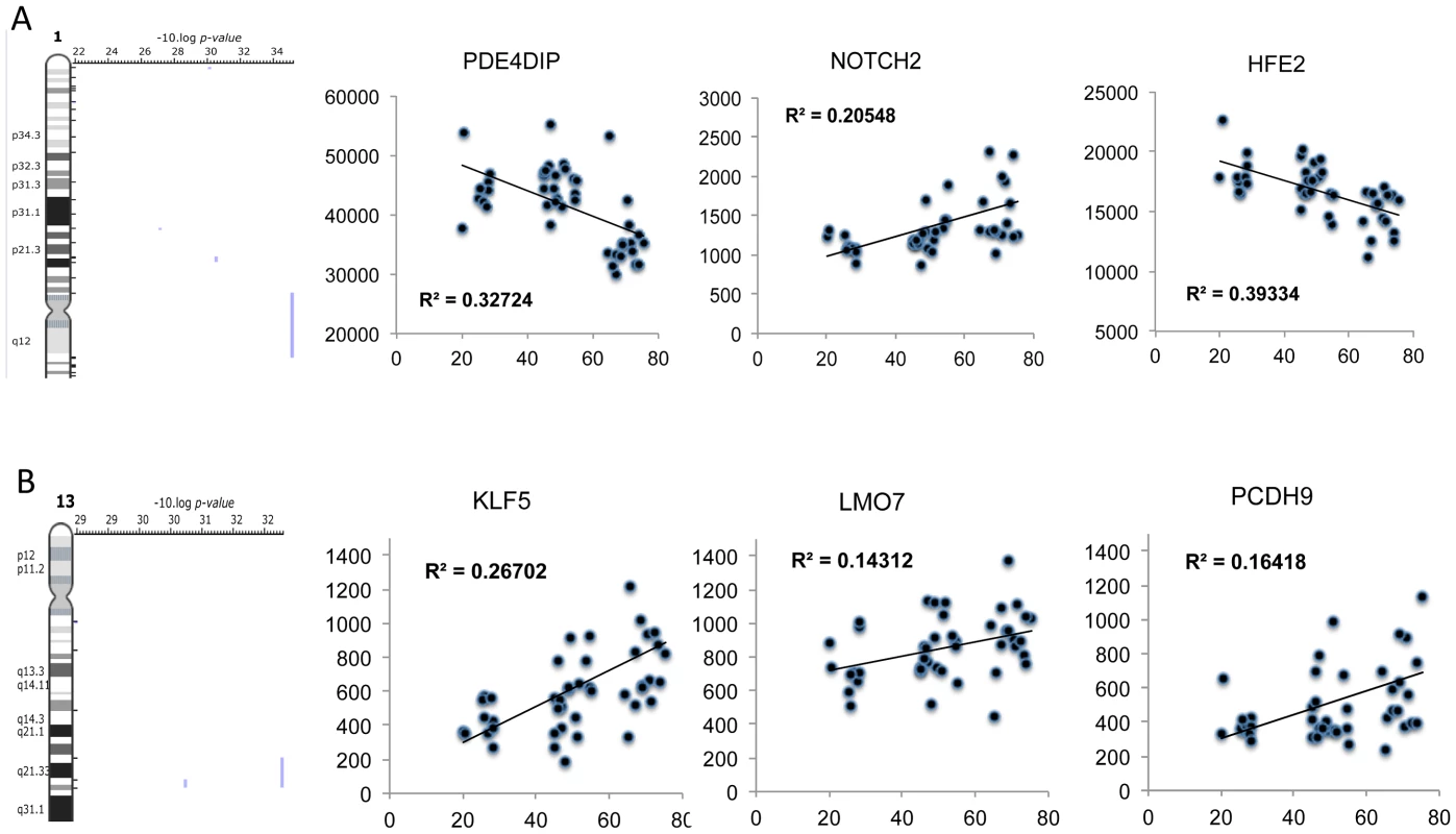 Positional enrichment analysis identified age-related genes that were over-represented on 4 chromosomes including Chromosome 1 and 13.