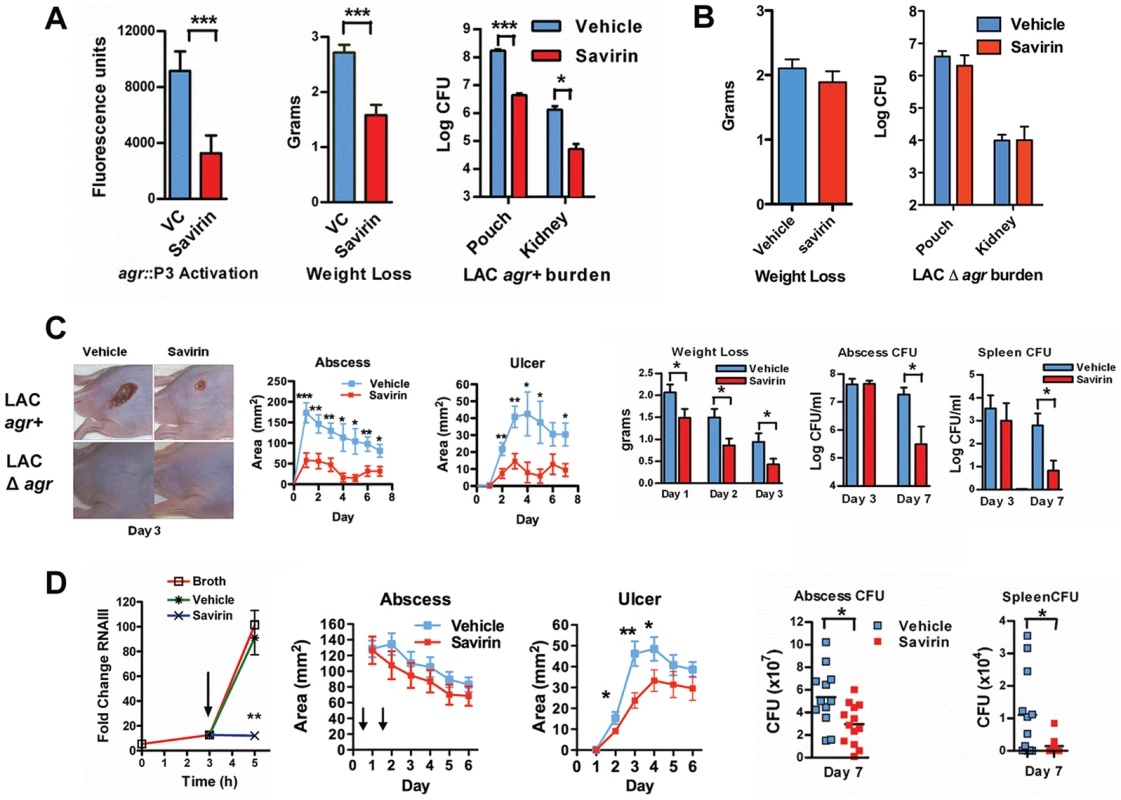 Savirin promotes <i>agr</i>-dependent host defense <i>in vivo</i> and <i>in vitro</i>.