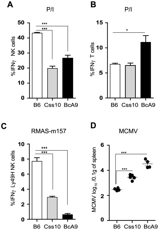 Chromosome 10 controls both IFNγ production and MCMV resistance.
