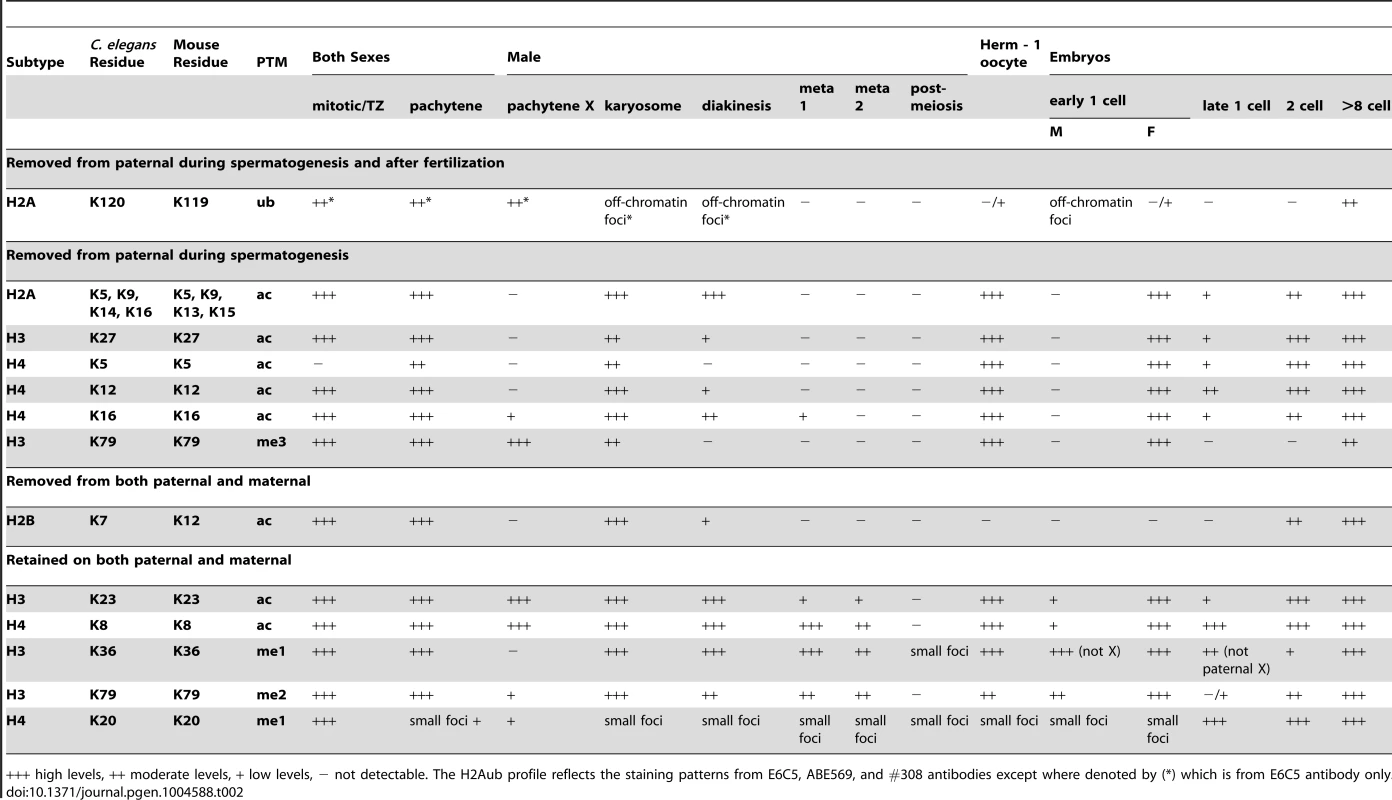 Summary of the profiles of histone post-translational modifications during spermatogenesis and after fertilization.