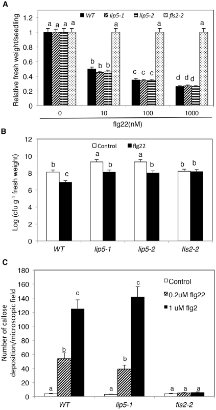 Responses to flg22 by the <i>lip5</i> and <i>fls2</i> mutants.
