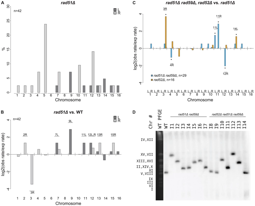 MLPA analysis of GCRs derived in a <i>rad51Δ</i> strain.