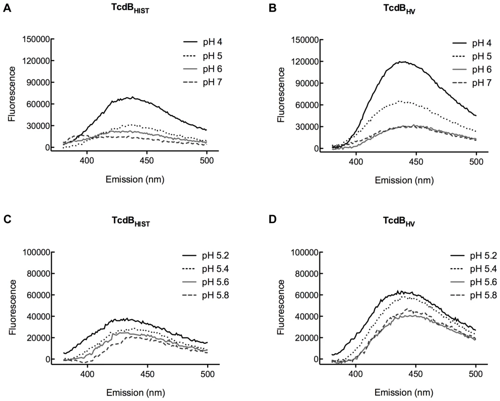 TNS analysis of pH-induced hydrophobic transitions in TcdB<sub>HIST</sub> and TcdB<sub>HV</sub>.