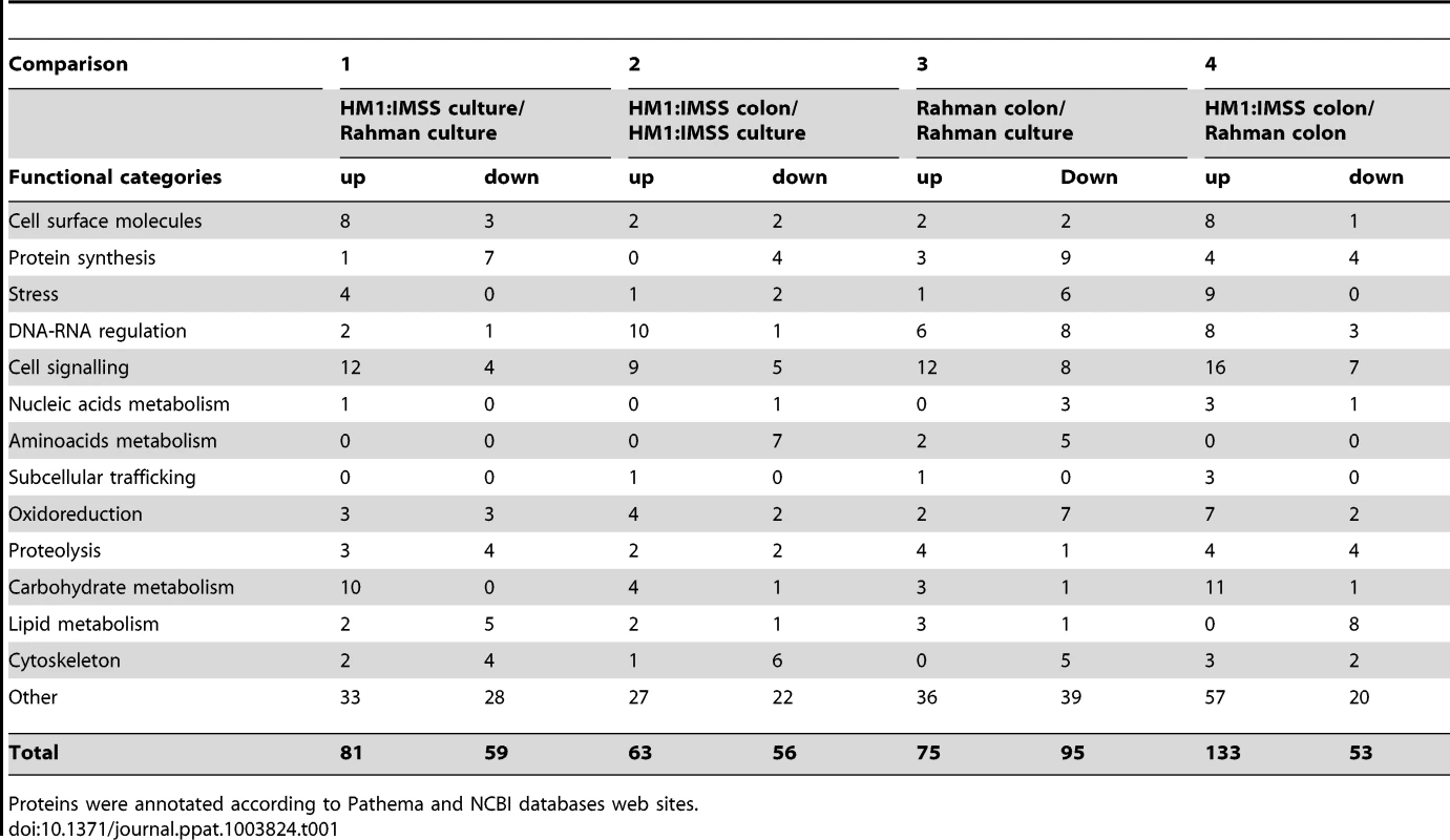 Classification of modulated transcripts into functional categories.
