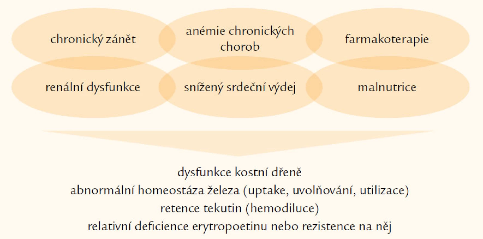 Etiologie anémie u srdečního selhání.