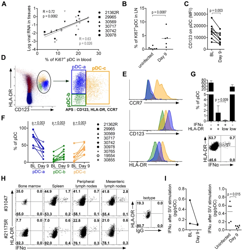 Plasmacytoid DC precursors disseminate into tissues during primary infection and are consistently IFNα negative.