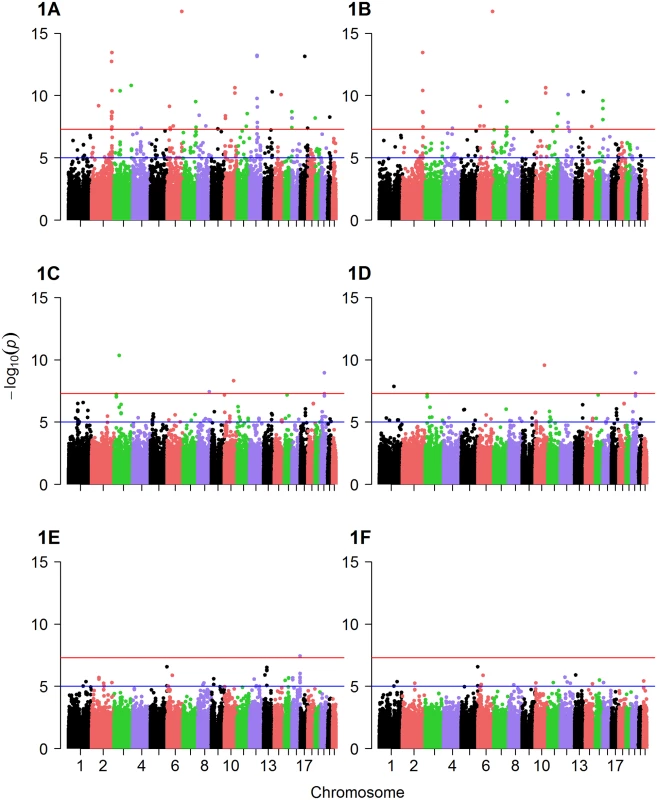 Manhattan plots of GWAS results.