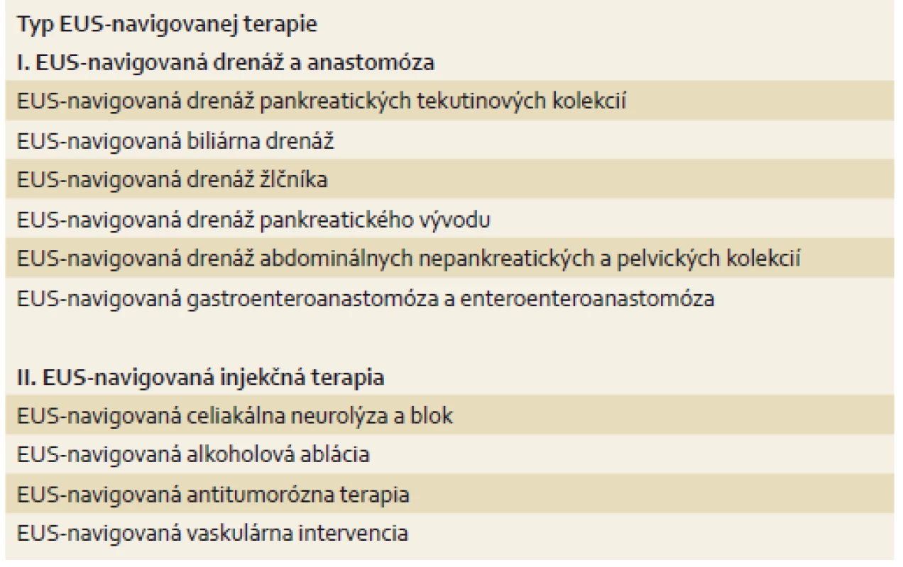 Prehľad jednotlivých typov EUS-navigovanej terapie.
Tab. 1. Summary of the types of EUS-guided therapy.