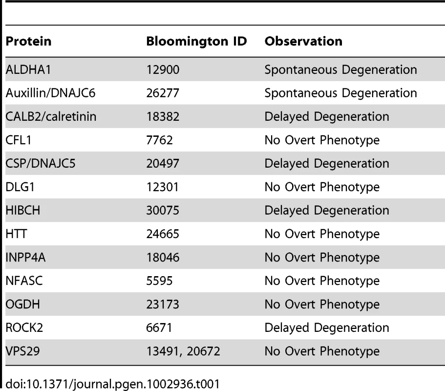 List of viable <i>Drosophila</i> lines tested in the current study.