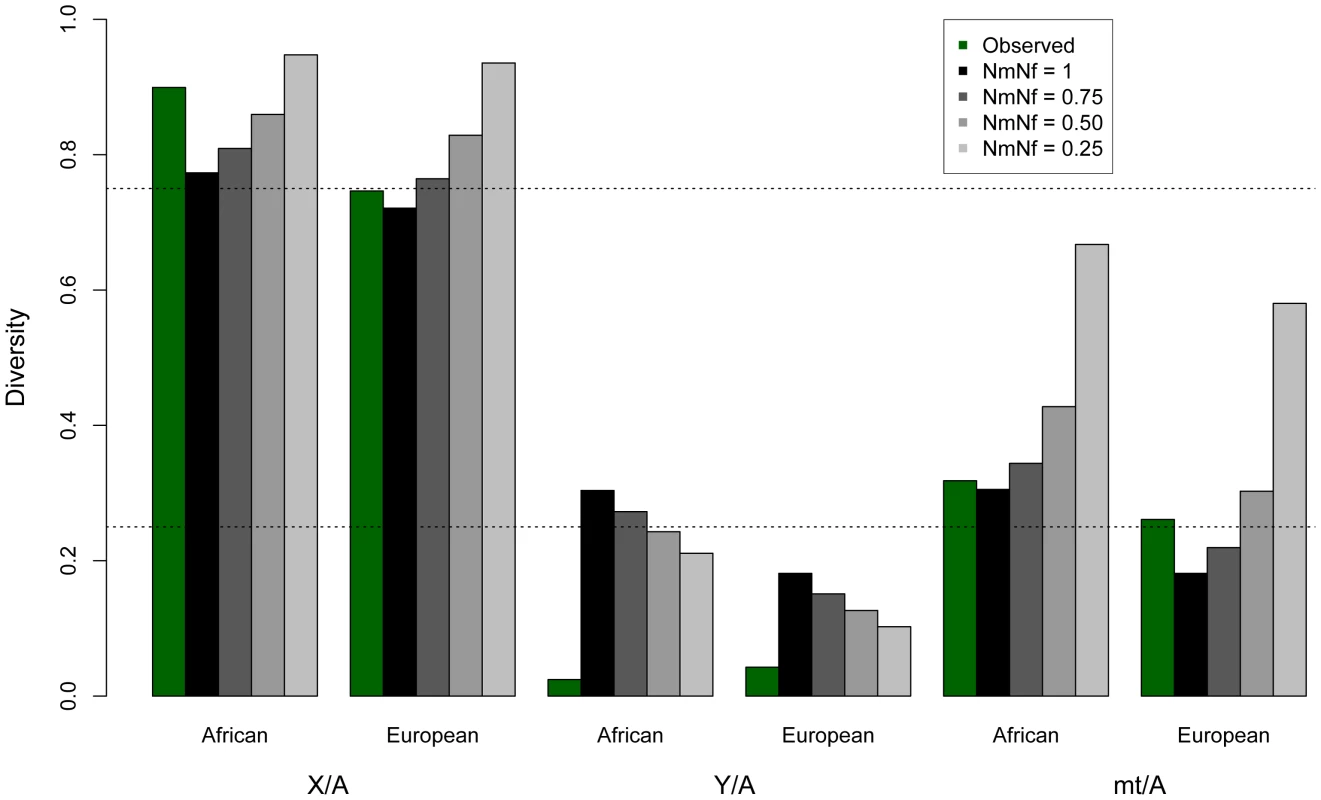 Observed and expected ratios of normalized X/Autosome, Y/Autosome, and mtDNA/Autosome nucleotide diversities.