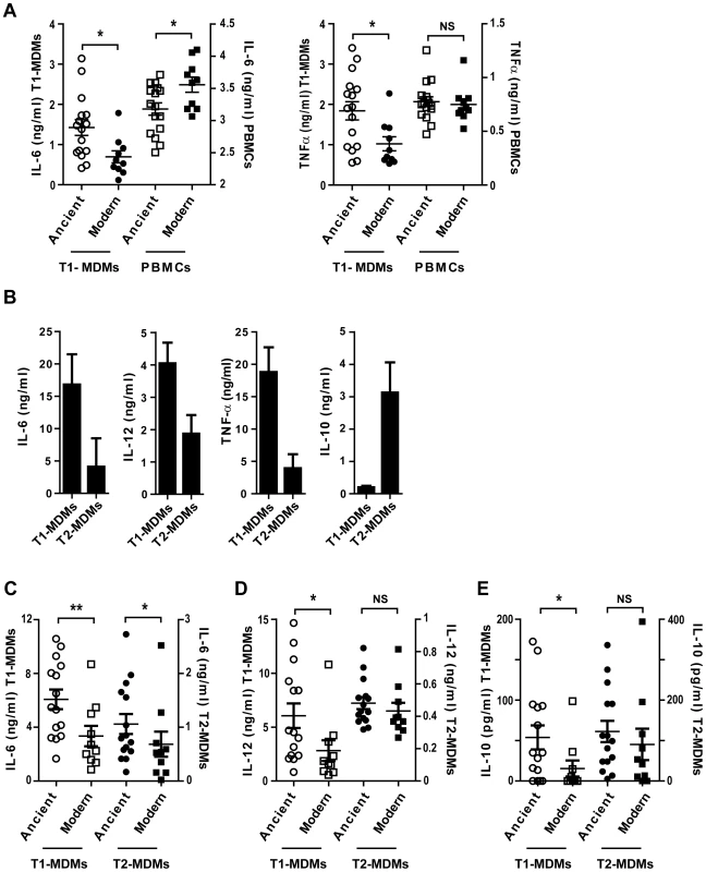 The inflammatory response to ancient and modern lineages differs when infecting autologous PBMCs or anti-inflammatory Type 2 macrophages.