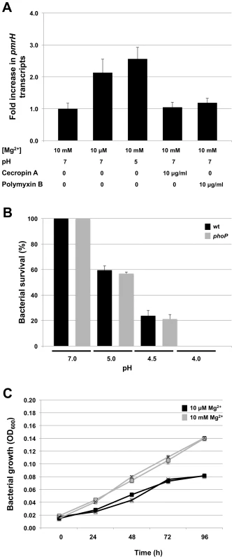 Response of <i>S. glossinidius</i> to antimicrobial peptides, acidic pH, or magnesium.