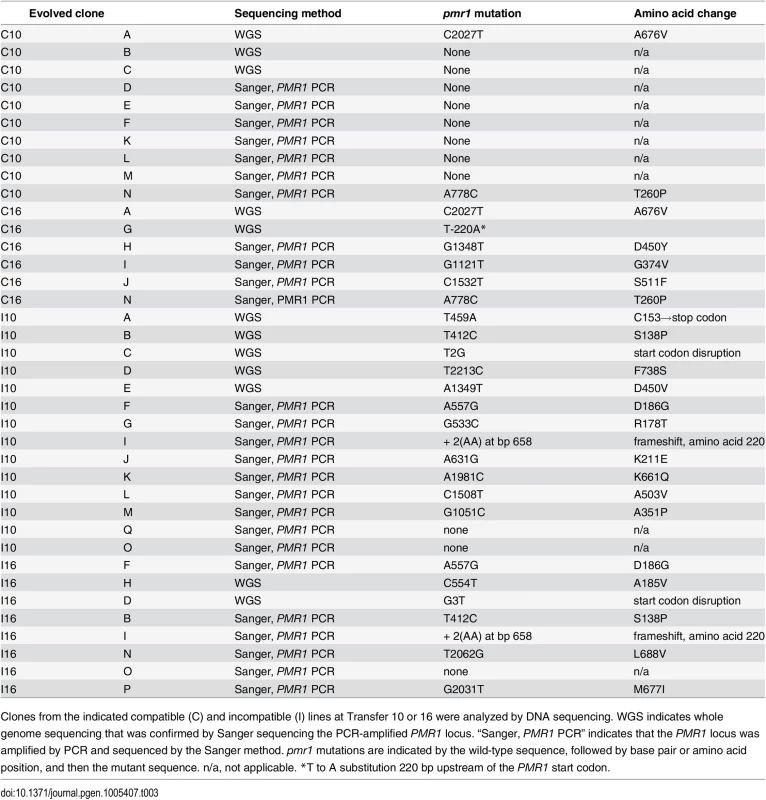 <i>pmr1</i> mutations identified in this study.