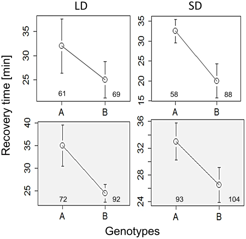 Chill coma recovery in <i>per</i> splicing transgenic flies.