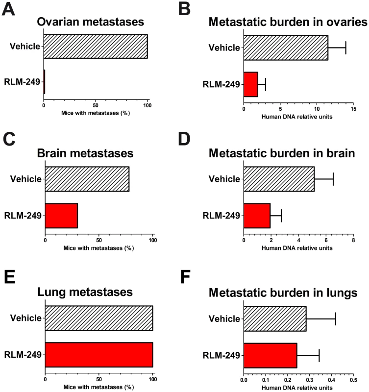 Therapy with R-LM249 of systemic metastases induced by the i.v. injection of human breast carcinoma cell line MDA-MB-453.