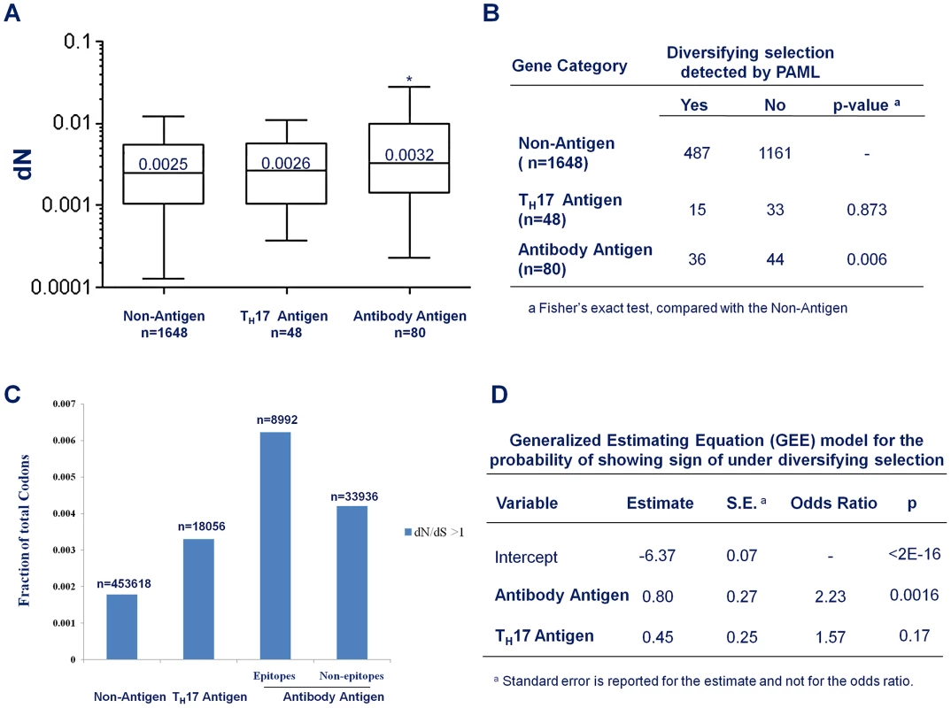 Antibody recognition is associated with stronger diversifying selection.