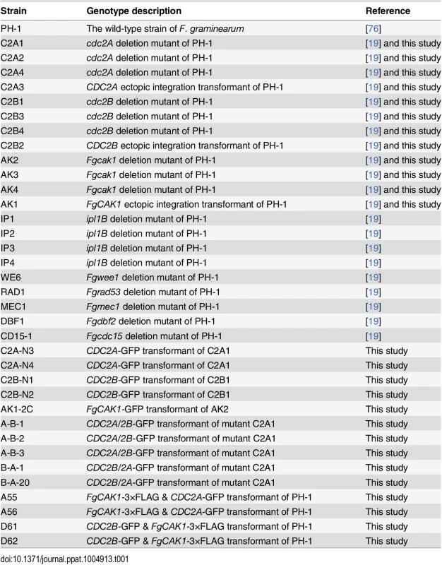 <i>Fusarium graminearum</i> strains used in this study.