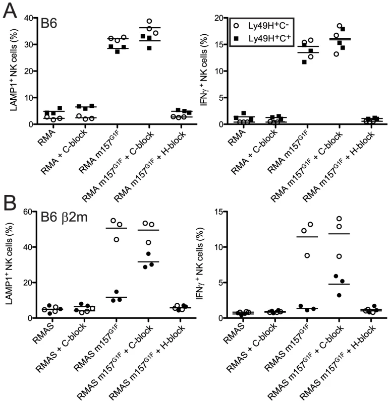 m157<sup>G1F</sup>–Ly49C binding regulates Ly49H-dependent NK cell functions <i>ex vivo</i>.