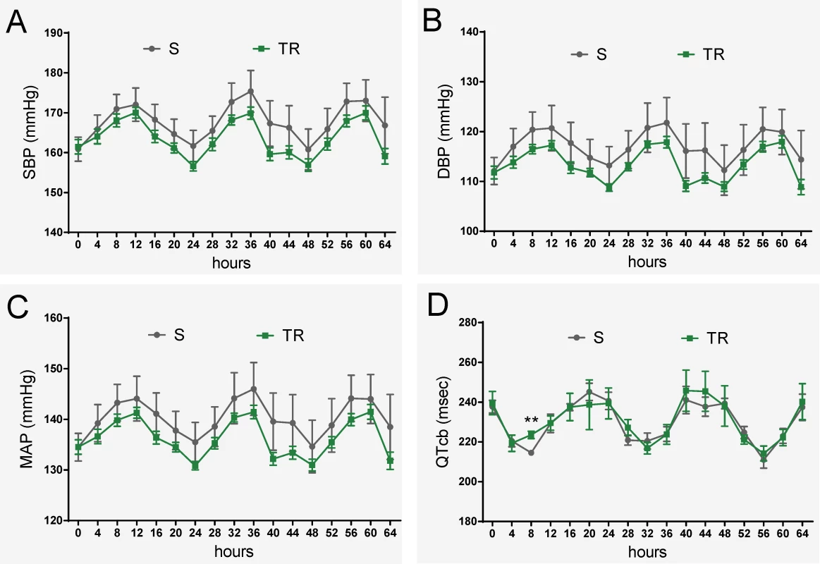 Evaluation of 19bp sufficiency in cardiovascular regulation.