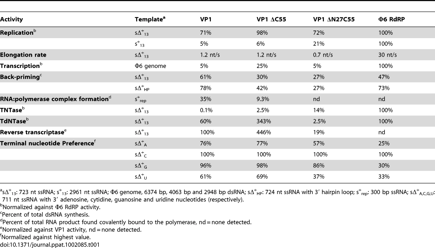 Biochemical characterization of the IPNV VP1 polymerases.