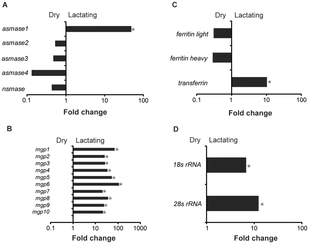 Summary of specific genes that are differentially expressed in lactating compared to dry flies.
