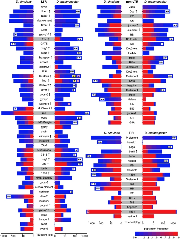 Abundance of different TE families in natural <i>D. melanogaster</i> and <i>D. simulans</i> populations; Significant differences in TE copy numbers from expectations under drift are indicated for the species with a higher number of insertions, assuming equal population sizes in both species (yellow), or a <i>N</i><sub><i>e</i></sub> ratio of 1.519 (pink).