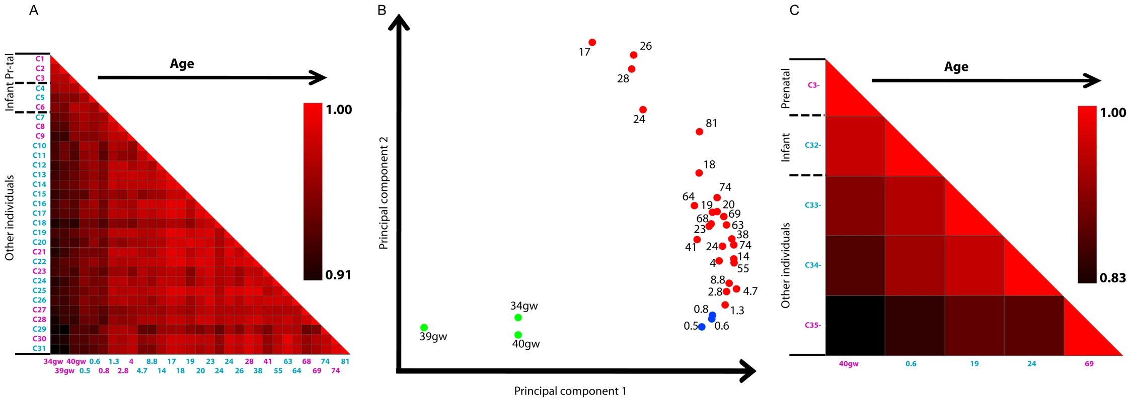 Prenatal age and early infancy are associated with transition of H3K4me3 landscapes in prefrontal cortex.