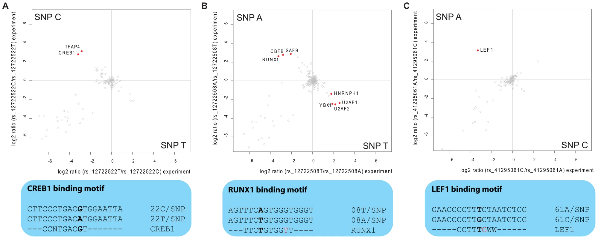 Interaction analysis for fine-mapped T1D SNPs.