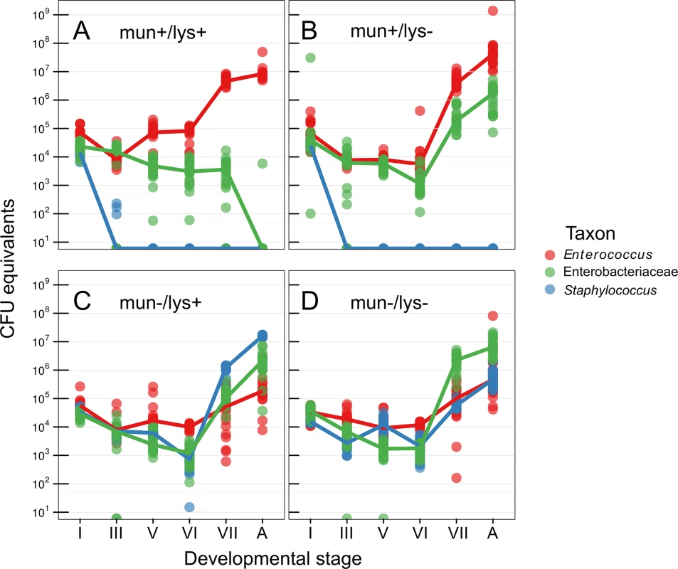 Abundance of bacteria during host metamorphosis.