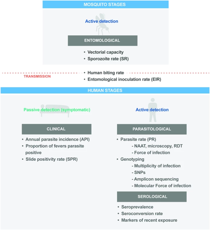 Key programmatic and research metrics across the malaria parasite transmission cycle.