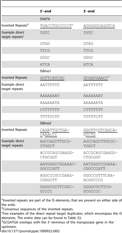 Repeat sequence pairs associated with the major IS elements in <i>B. mallei</i>.