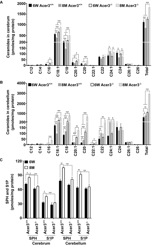 Acer3 upregulation is important for the homeostasis of ceramides, SPH, and S1P in aging brain.
