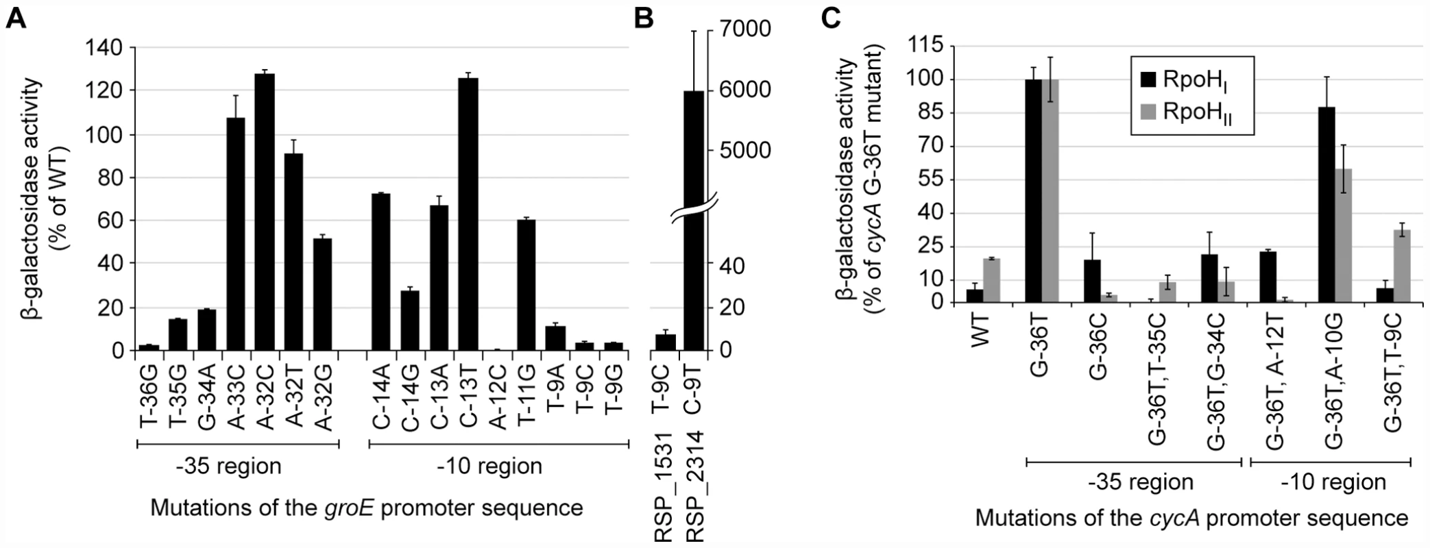 Activities of selected mutant promoters when transcribed by RpoH<sub>I</sub> or RpoH<sub>II</sub>.