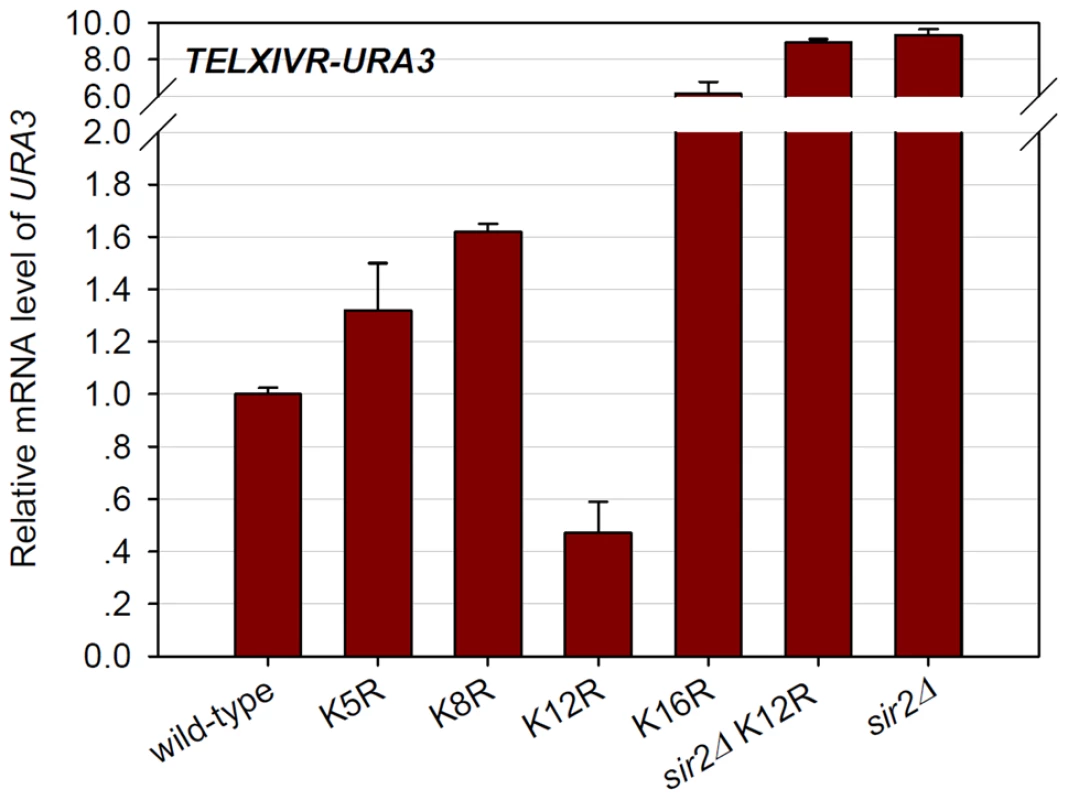 Histone H4K12 acetylation regulates basal transcription at telomeric heterochromatin.
