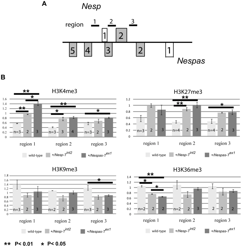Paternal-specific histone modifications at <i>Nesp</i> in MEFs from wild-type, +/<i>Nesp-T<sup>int2</sup></i>, and +/<i>Nespas-T<sup>ex1</sup></i>.