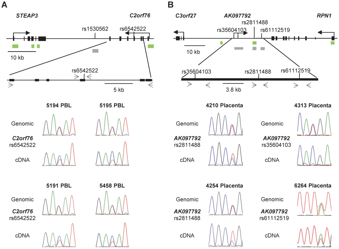 Non-imprinted ASM in the <i>STEAP3-C2orf76</i> region and imprinted ASM in the <i>RPN1-C3orf27</i> regions are both associated with ASE.