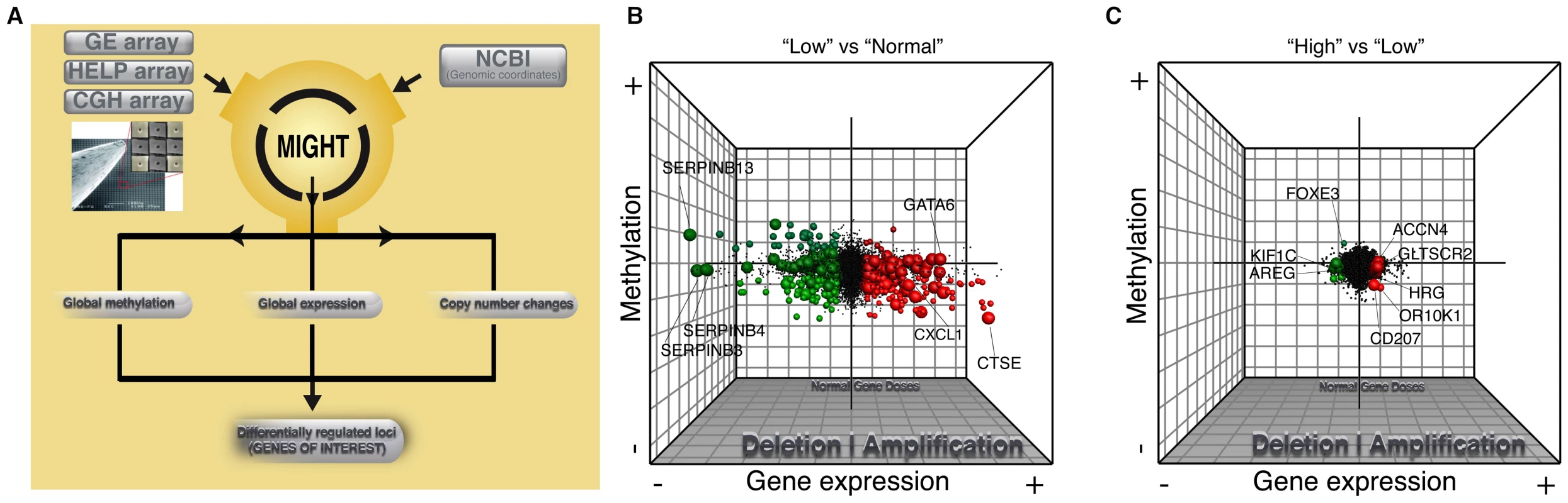 Global integrative analysis of transcriptomic, epigenomic, and DNA copy number data.