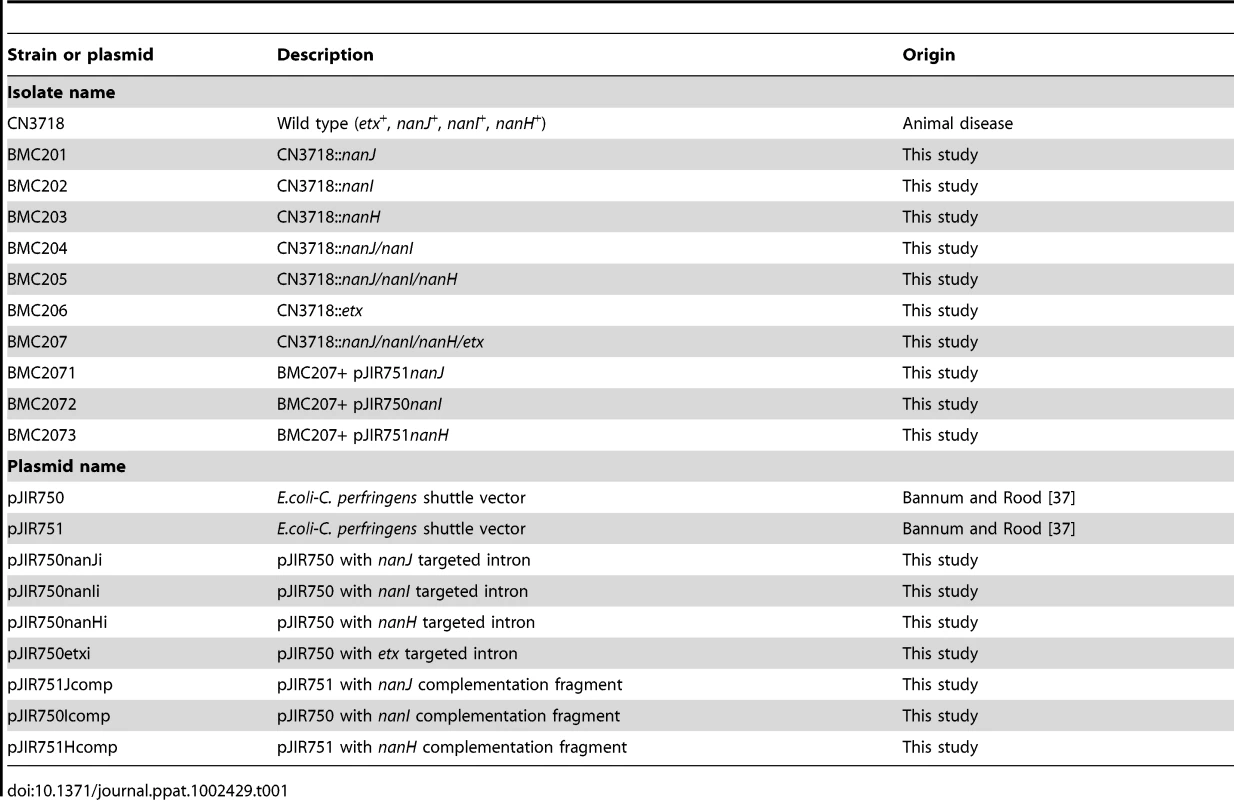 Strains, mutants and plasmids used in this study.