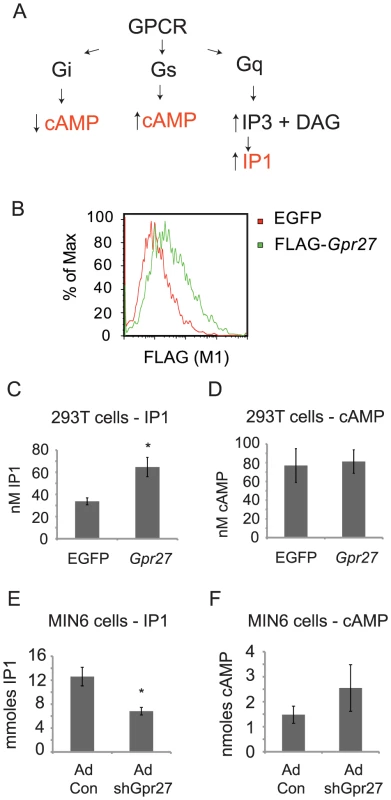 <i>Gpr27</i> positively regulates inositol phosphate levels.