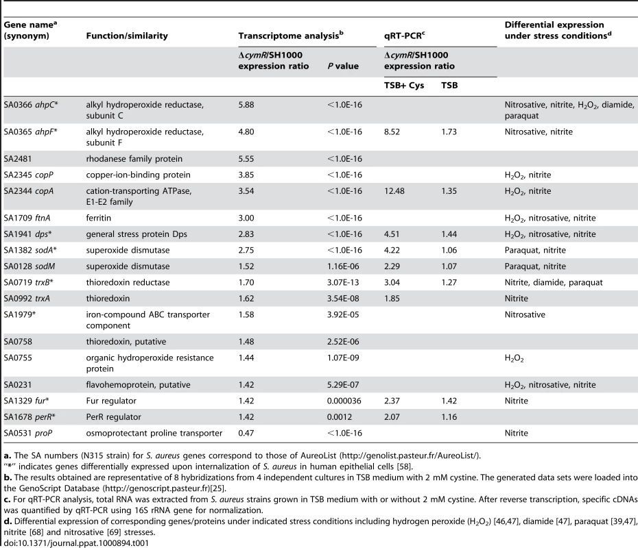 Stress response associated genes differentially expressed in the <i>S. aureus</i> Δ<i>cymR</i> mutant strain compared to SH1000.